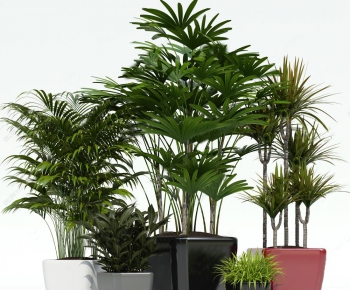 Modern Potted Green Plant-ID:318051944