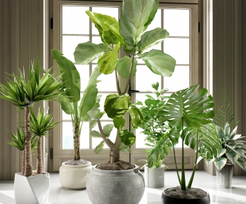 Modern Potted Green Plant-ID:337048251