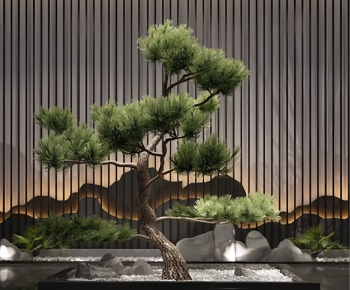  Bonsai-ID:576002247