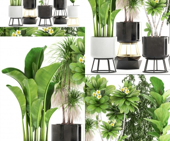 Modern Potted Green Plant-ID:122869418