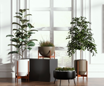 Modern Potted Green Plant-ID:911894517