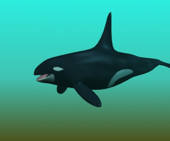 现代动物鲨鱼-ID:129207543