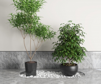 Modern Potted Green Plant-ID:472351541