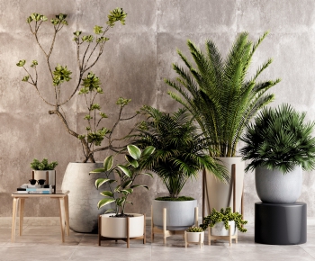 Modern Potted Green Plant-ID:189273298