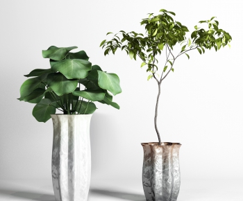 Modern Potted Green Plant-ID:681301223