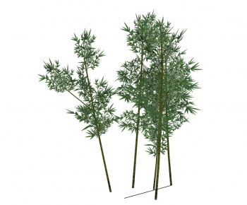 Modern Bamboo-ID:262576694