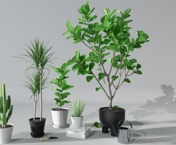 Modern Potted Green Plant-ID:625271763