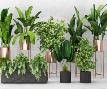 Modern Potted Green Plant-ID:917923219