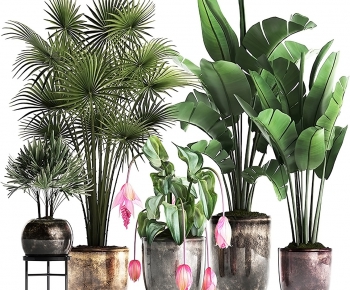 Modern Potted Green Plant-ID:973460518