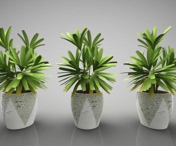 Modern Potted Green Plant-ID:532088536