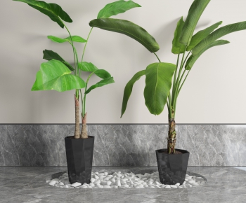 Modern Potted Green Plant-ID:445180562