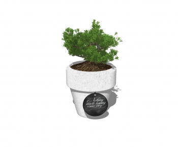 Modern Potted Green Plant-ID:964248332