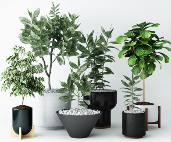 Modern Potted Green Plant-ID:103326934