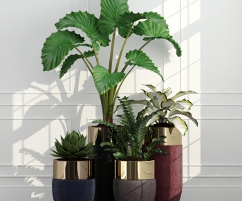 Modern Potted Green Plant-ID:249472347