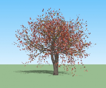 Modern Tree-ID:619322649