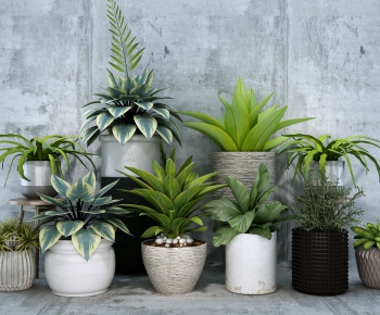 Modern Potted Green Plant-ID:188367596