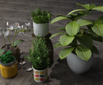 Modern Potted Green Plant-ID:123322886