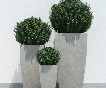 Modern Potted Green Plant-ID:883109932