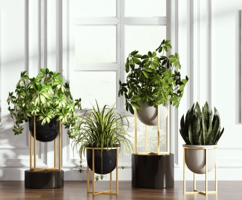 Modern Potted Green Plant-ID:896085789