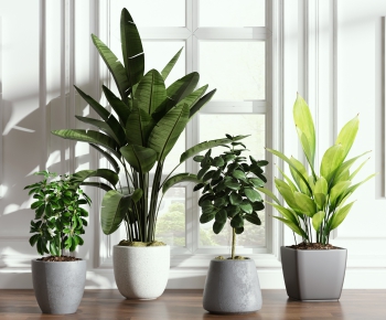 Modern Potted Green Plant-ID:616363315