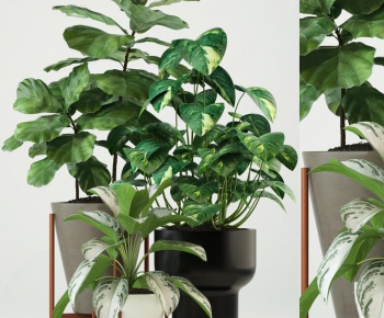 Modern Potted Green Plant-ID:762932842