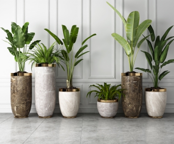Modern Potted Green Plant-ID:555125282