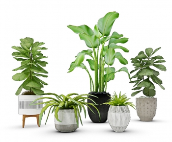 Modern Potted Green Plant-ID:774256599