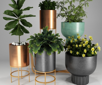 Modern Potted Green Plant-ID:818946524