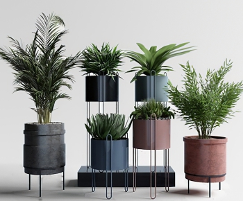 Modern Potted Green Plant-ID:467275421