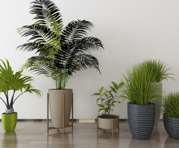 Modern Potted Green Plant-ID:774103131