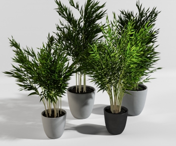 Modern Potted Green Plant-ID:970776618