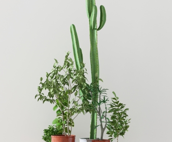 Modern Potted Green Plant-ID:525835671