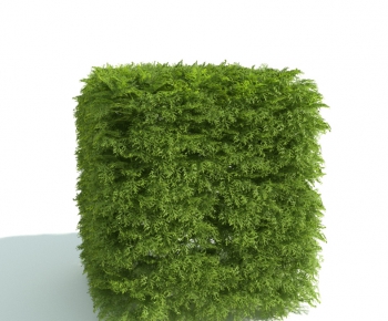 Modern Shrubbery-ID:580467293