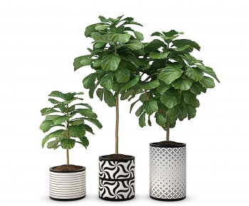 Modern Potted Green Plant-ID:981279622