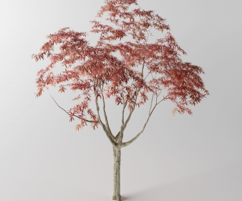Modern Tree-ID:888561888