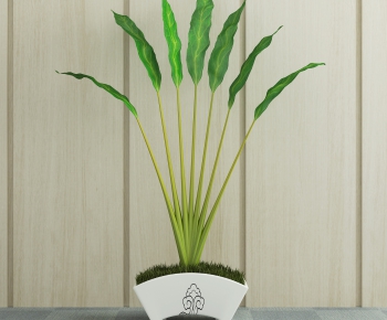 Modern Potted Green Plant-ID:248888819