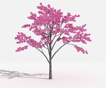 Modern Tree-ID:929642825