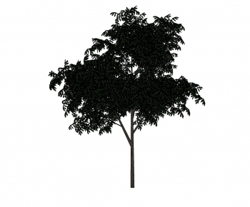 Modern Tree-ID:955499953