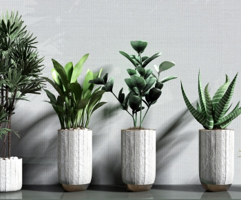 Modern Potted Green Plant-ID:592874262