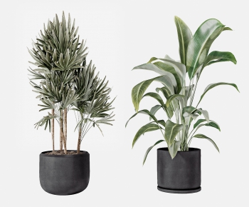 Modern Potted Green Plant-ID:888182196