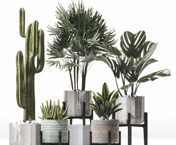 Modern Potted Green Plant-ID:216534239
