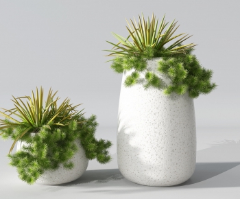 Modern Potted Green Plant-ID:656266181