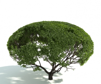 Modern Shrubbery-ID:391250187