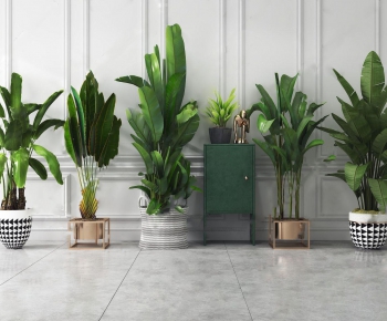 Modern Potted Green Plant-ID:796278294