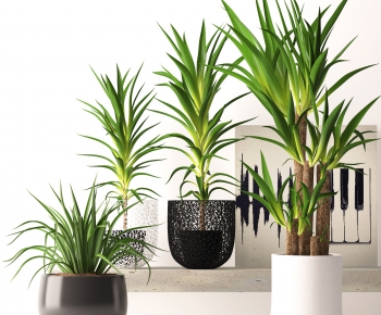 Modern Potted Green Plant-ID:344319791