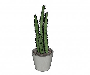 Modern Potted Green Plant-ID:151195622