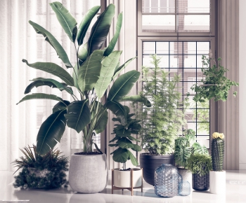 Modern Potted Green Plant-ID:271904614