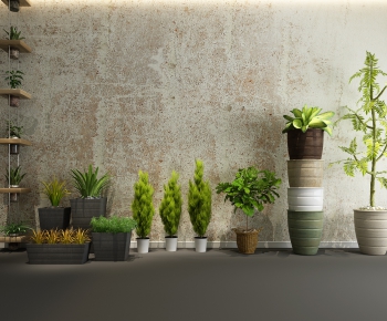 Modern Potted Green Plant-ID:272740295