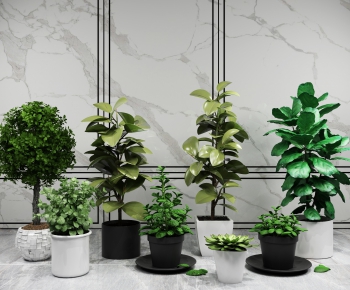 Modern Potted Green Plant-ID:648292368
