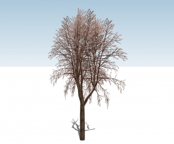 现代冬季树-ID:191932928